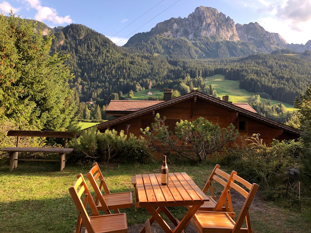 Apartment in the best location of Rougemont,Gstaad