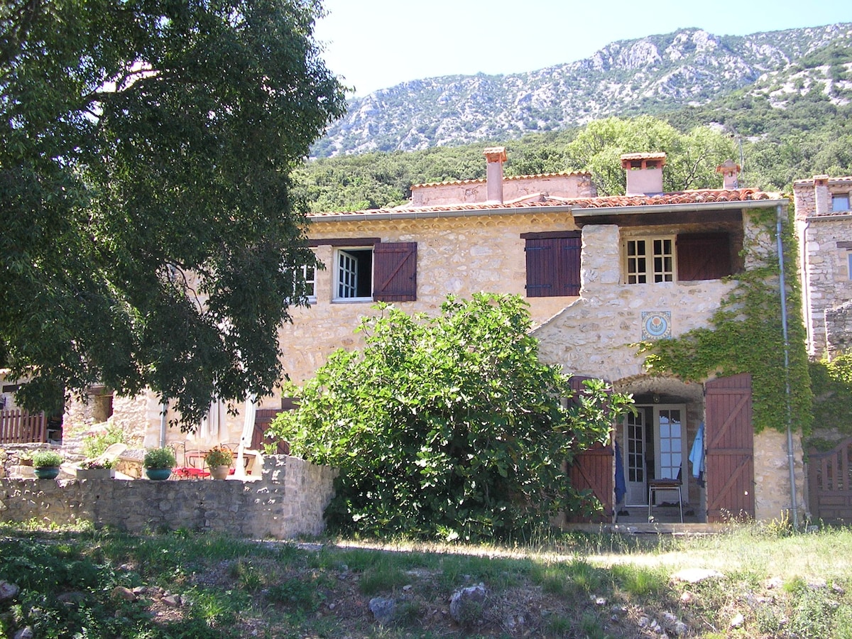 Grande maison en pierre au calme avec piscine