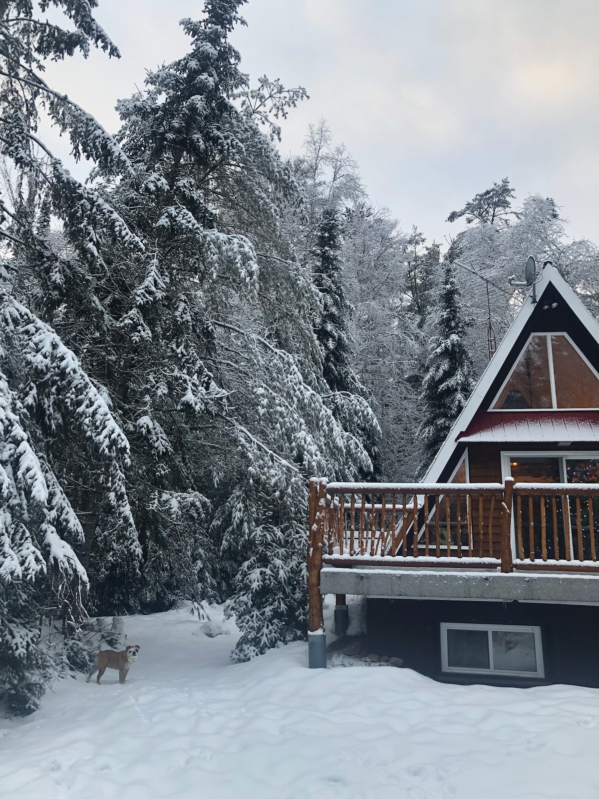 阿尔冈金公园（ Algonquin Park ）附近的A型小屋