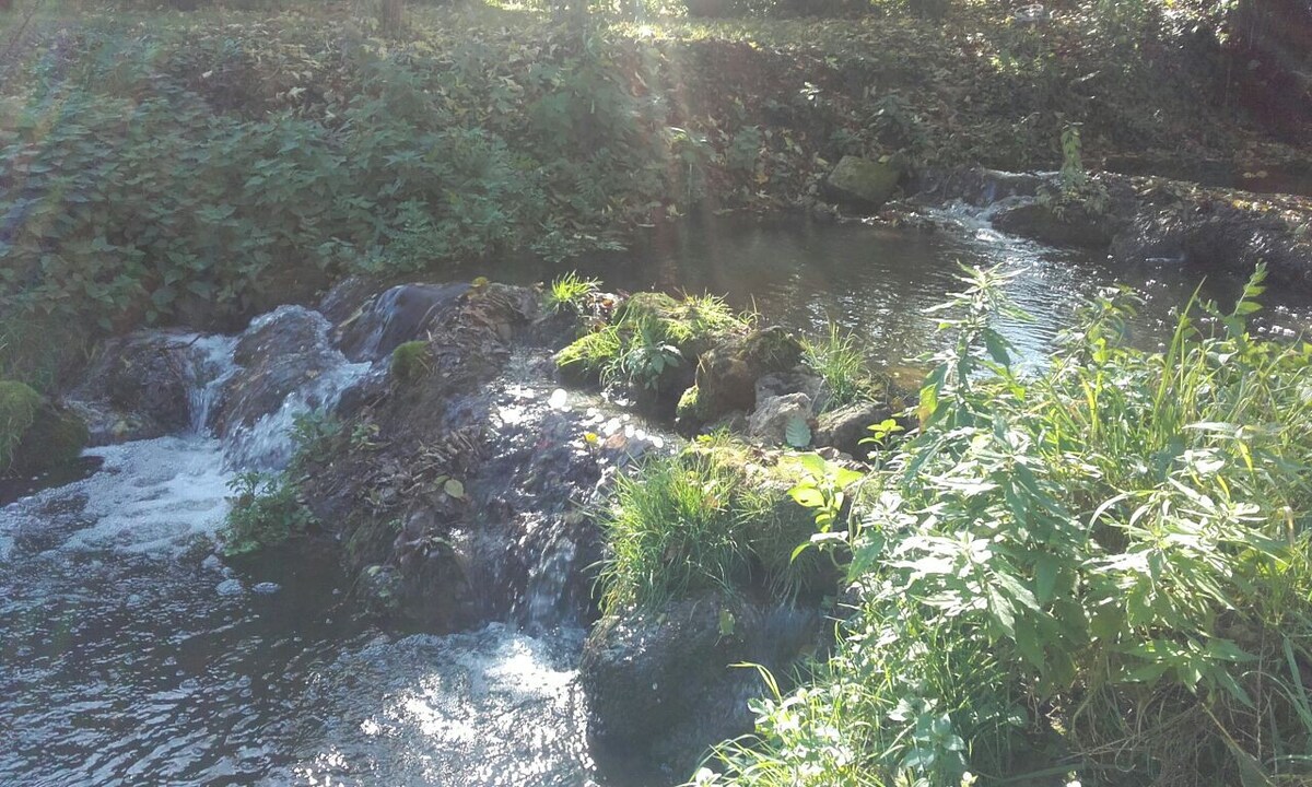 Chambre au Moulin du Sud