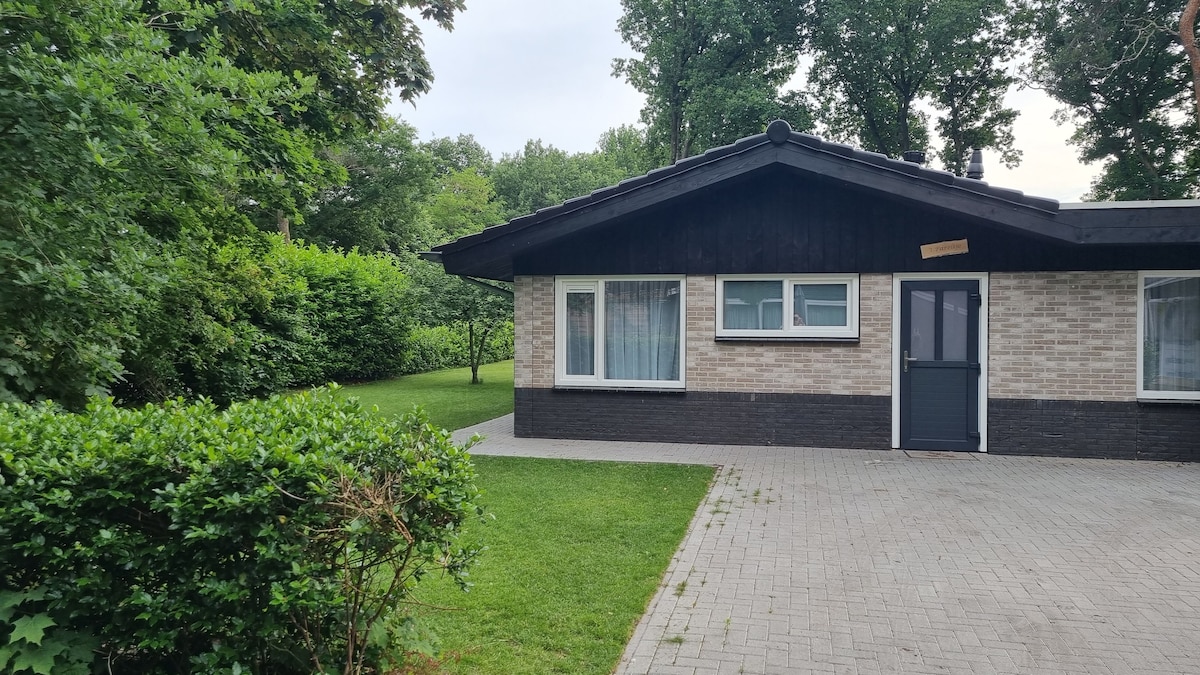 Gezellige, luxe bungalow in het bos in Rheezerveen