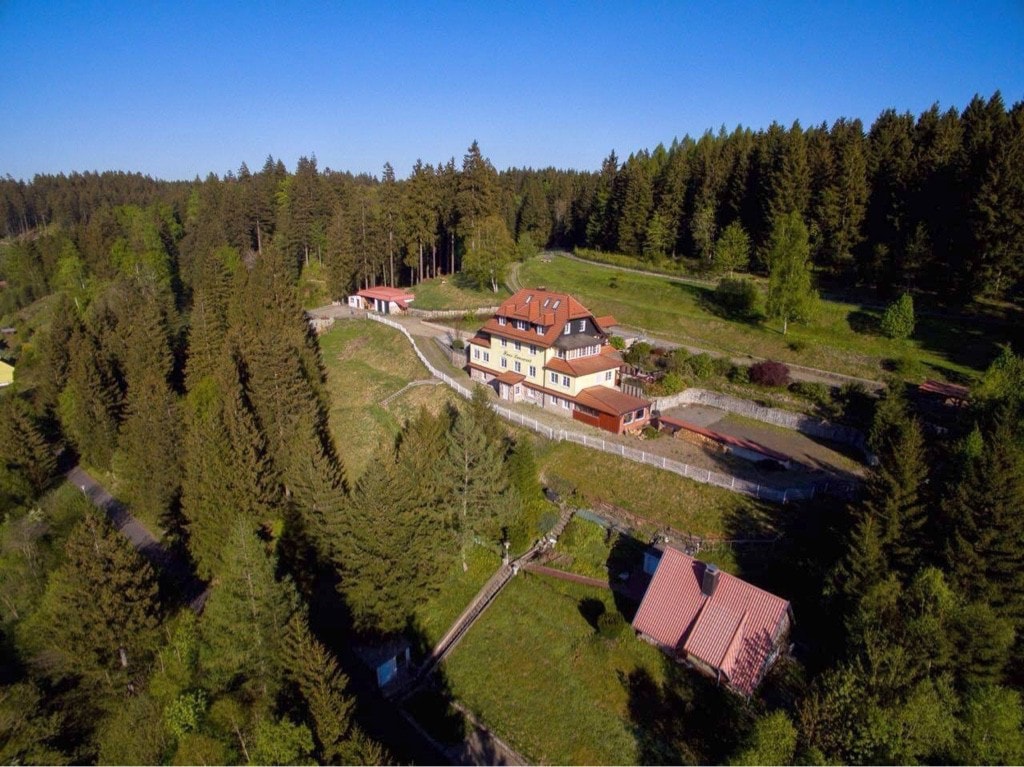 Alpaka Haus Sanssouci Tanne Oberharz Kaminwohnung