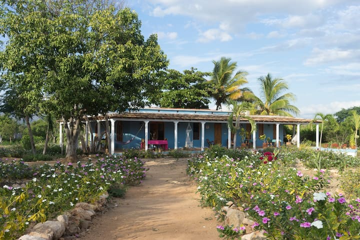 特立尼达岛的民宿