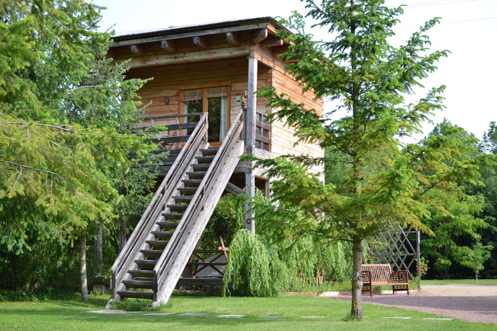 ecolodge en cabane perchée