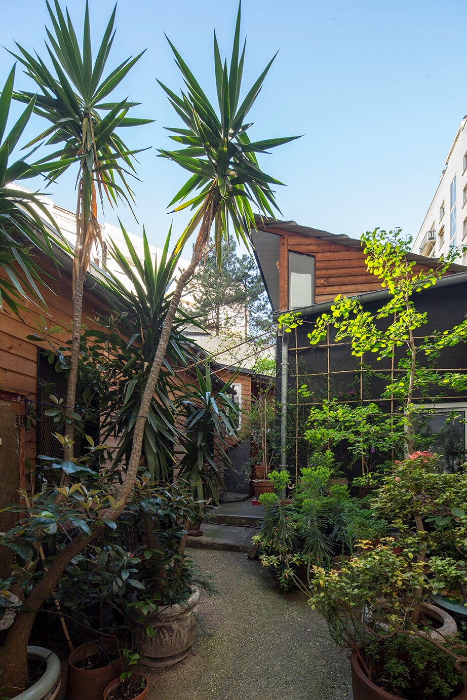 Spacious Green House - Central Paris