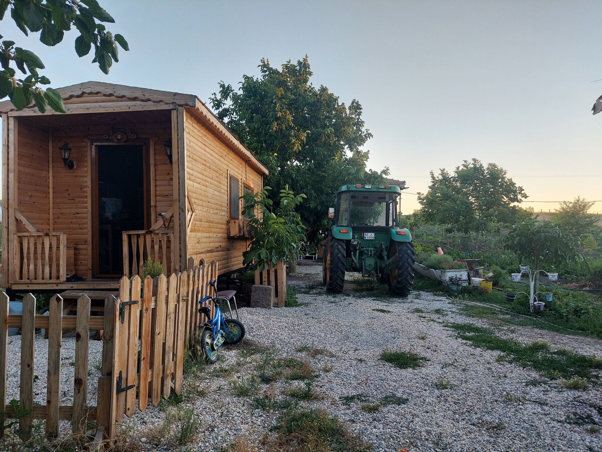 wooden Tiny house in village surrounded by nature