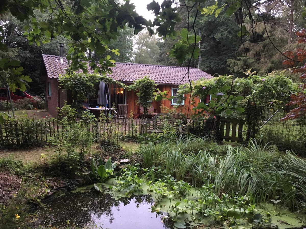 Gezellige bungalow in de natuur.