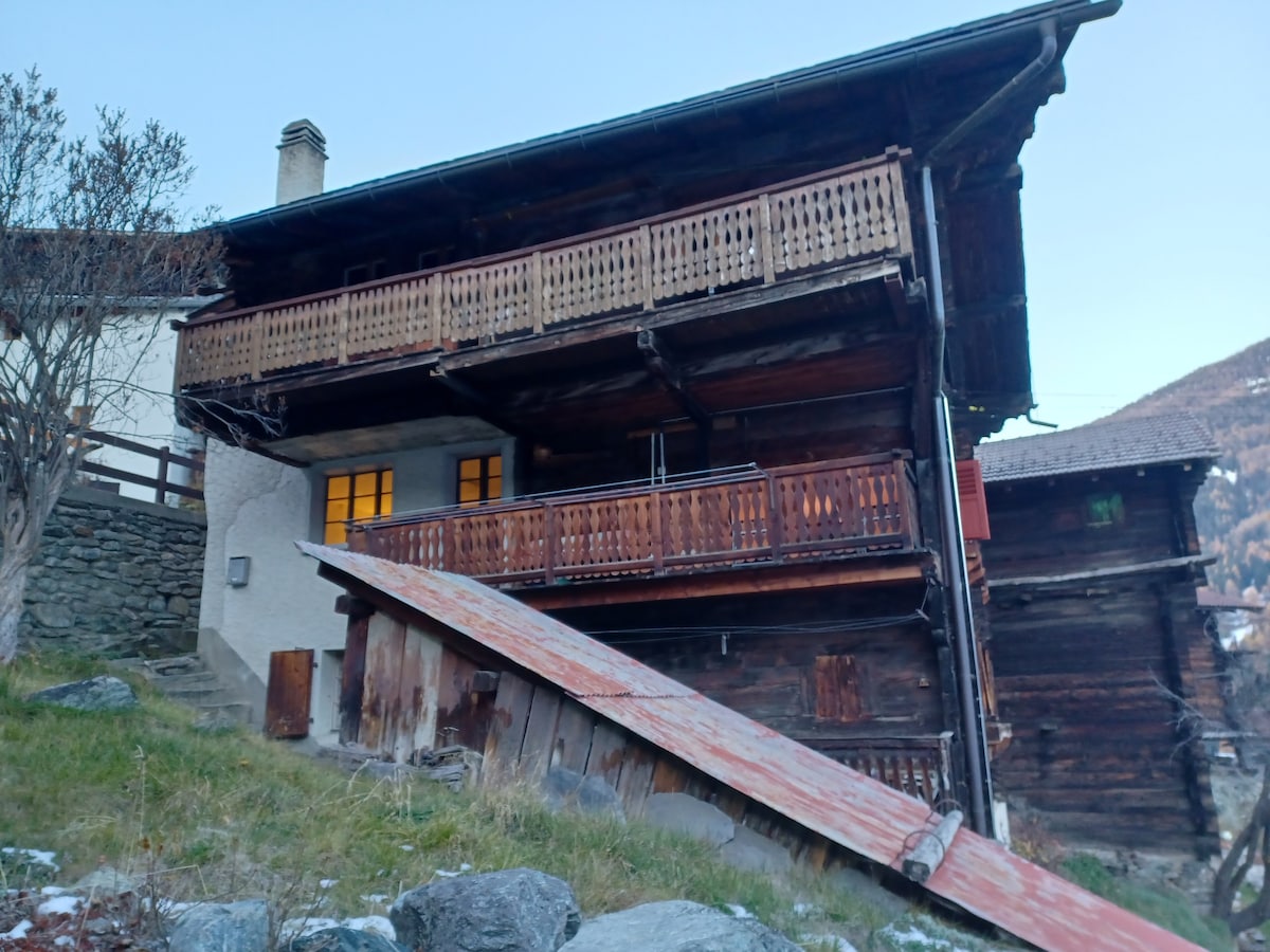 公寓距离Grimentz 1公里，有公园