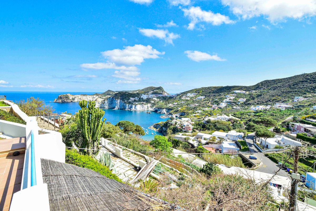 SoleMarePonza Casa Il Fico d'India Cala Feola