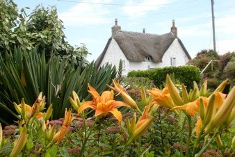 海边茅草地Cornish农舍，可入住8人。