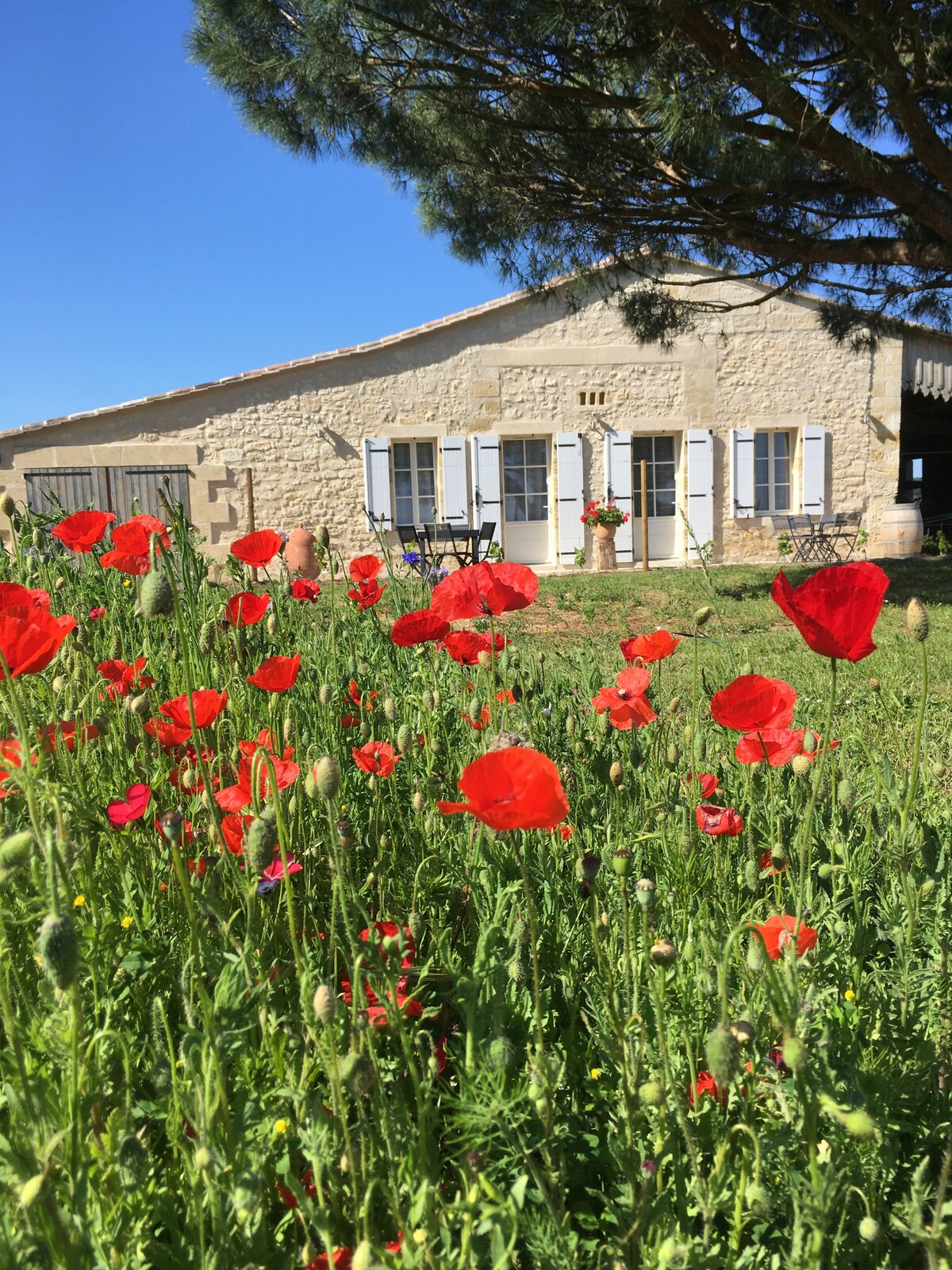 La Soleillade 2015距离圣埃米利翁（ Saint Emilion ） 2分钟。