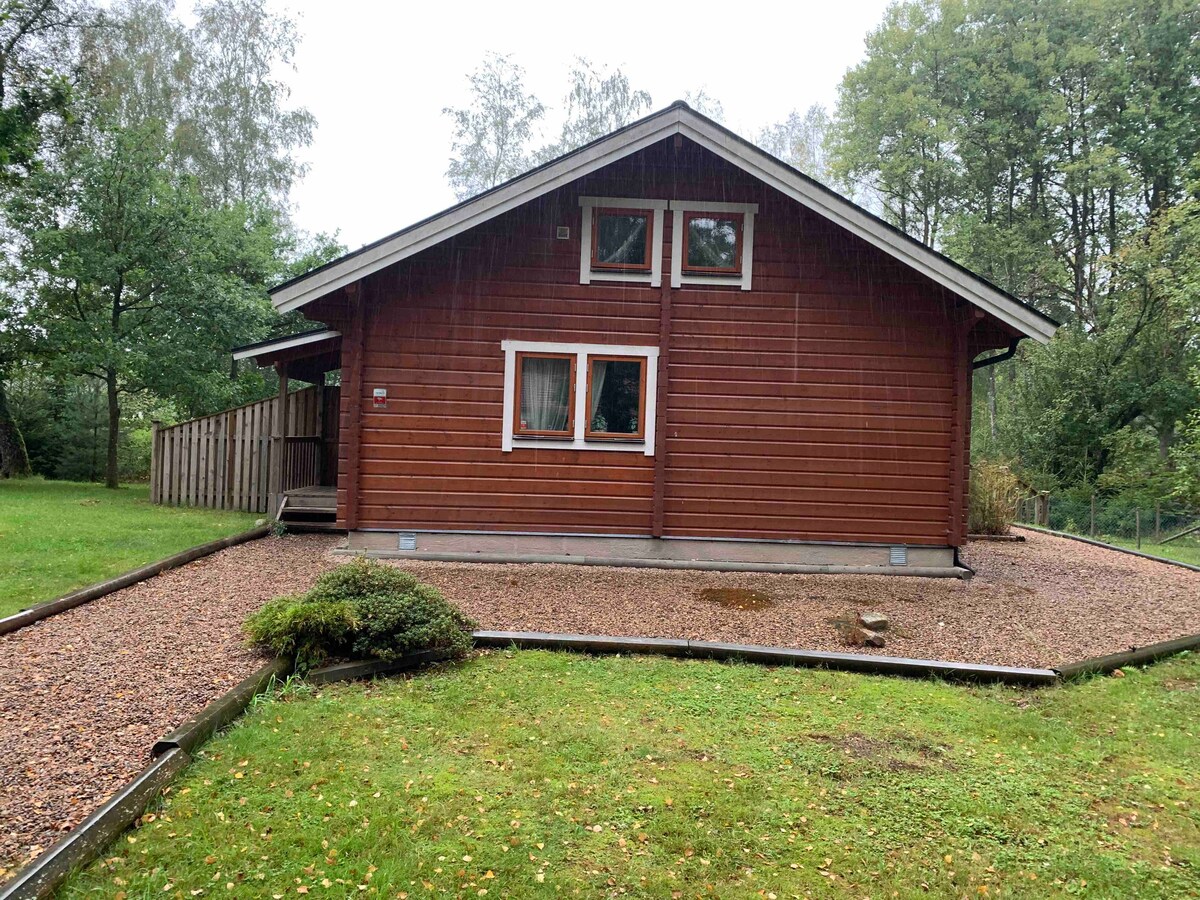 Cosy cabin at the edge of the forest with sauna