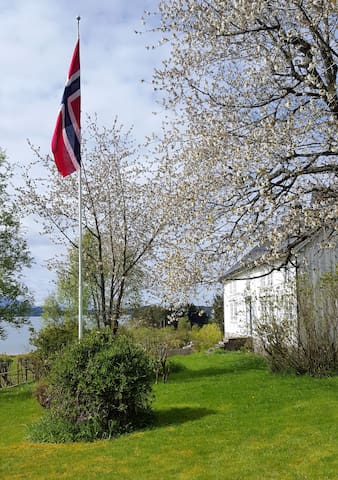 Tornes i Romsdal的民宿
