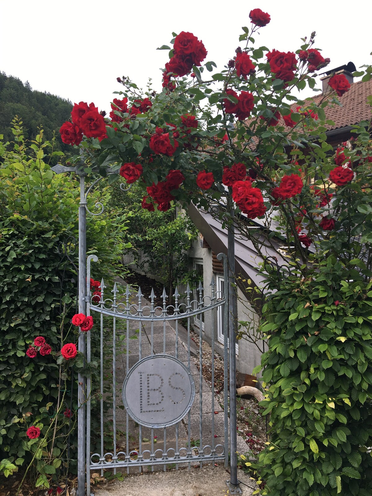 Ferienwohnung am Wolfgangsee