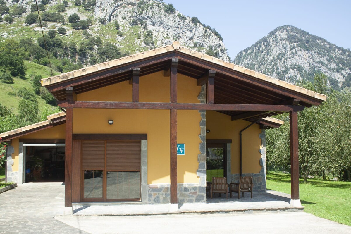 EL BALCON DEL CARES EN LOS PICOS DE EUROPA. VV.793