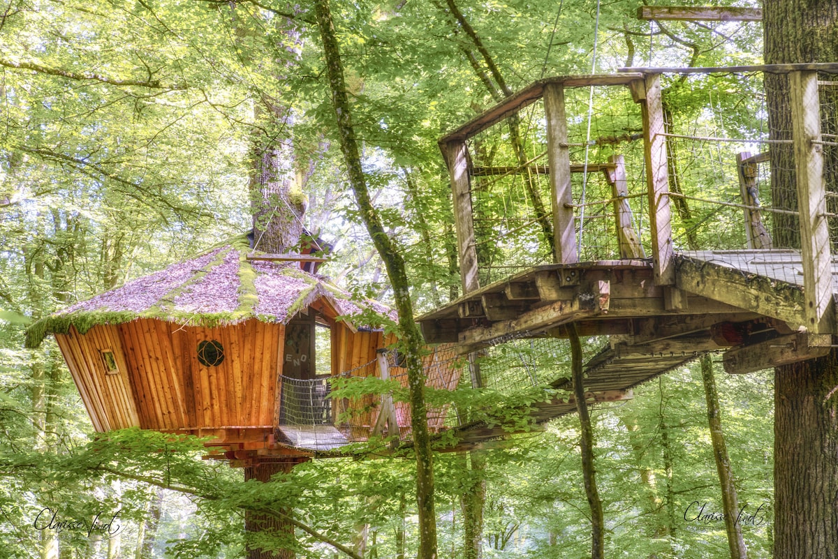 L'Arbre à Cabane, Cabane El Sueno