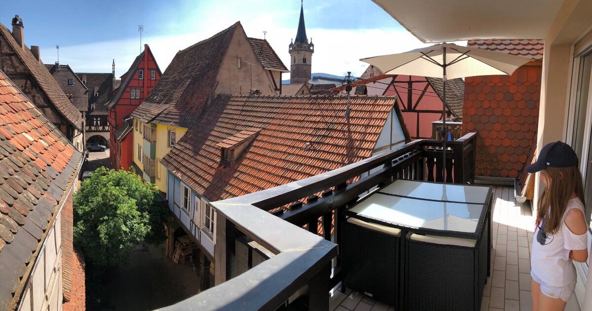 位于Obernai市中心的非常漂亮的公寓