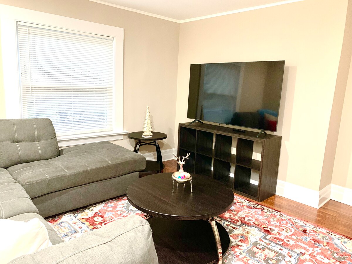 Newly Renovated Spacious 4BR peaceful downtown Apt
