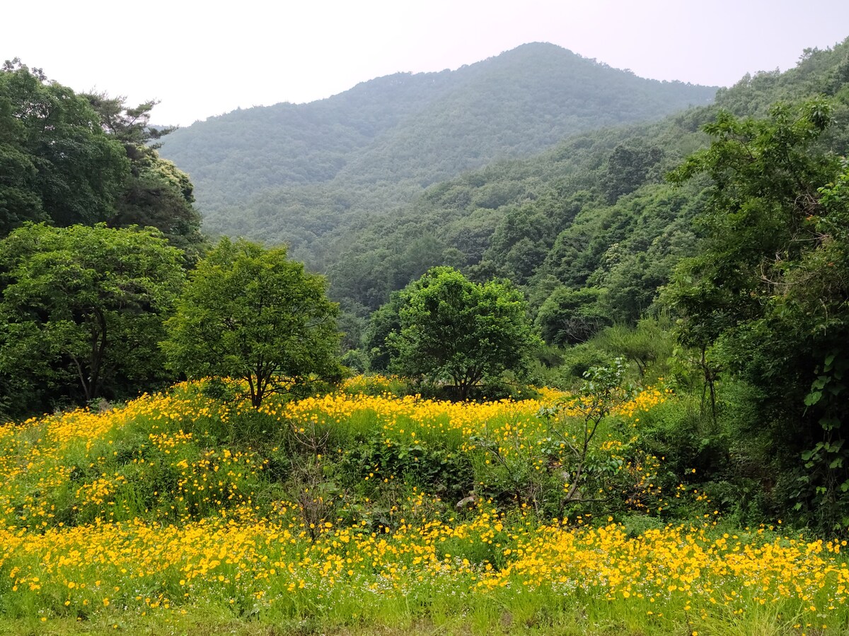 奇尔加普山野花山（ 7天课程）