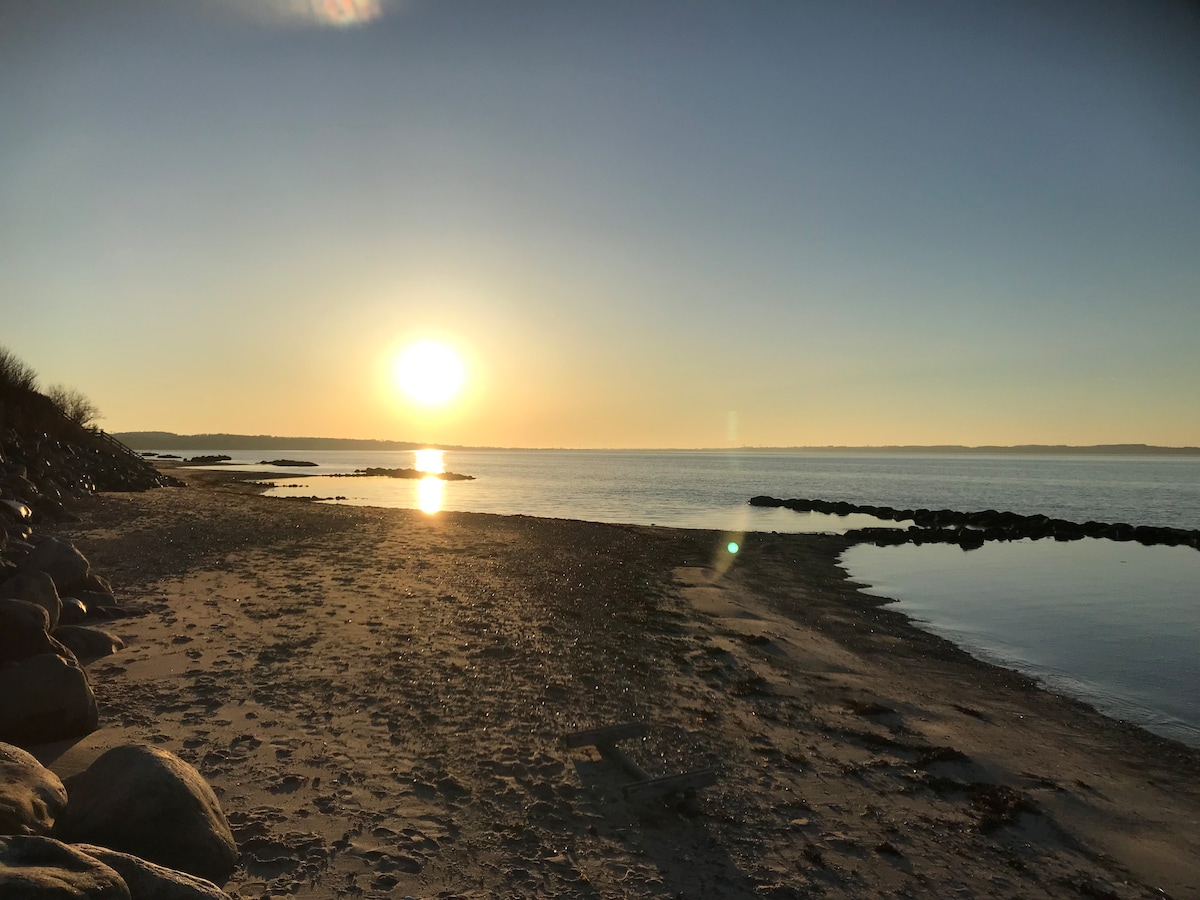 Sommerhus ved strand, skov og natur