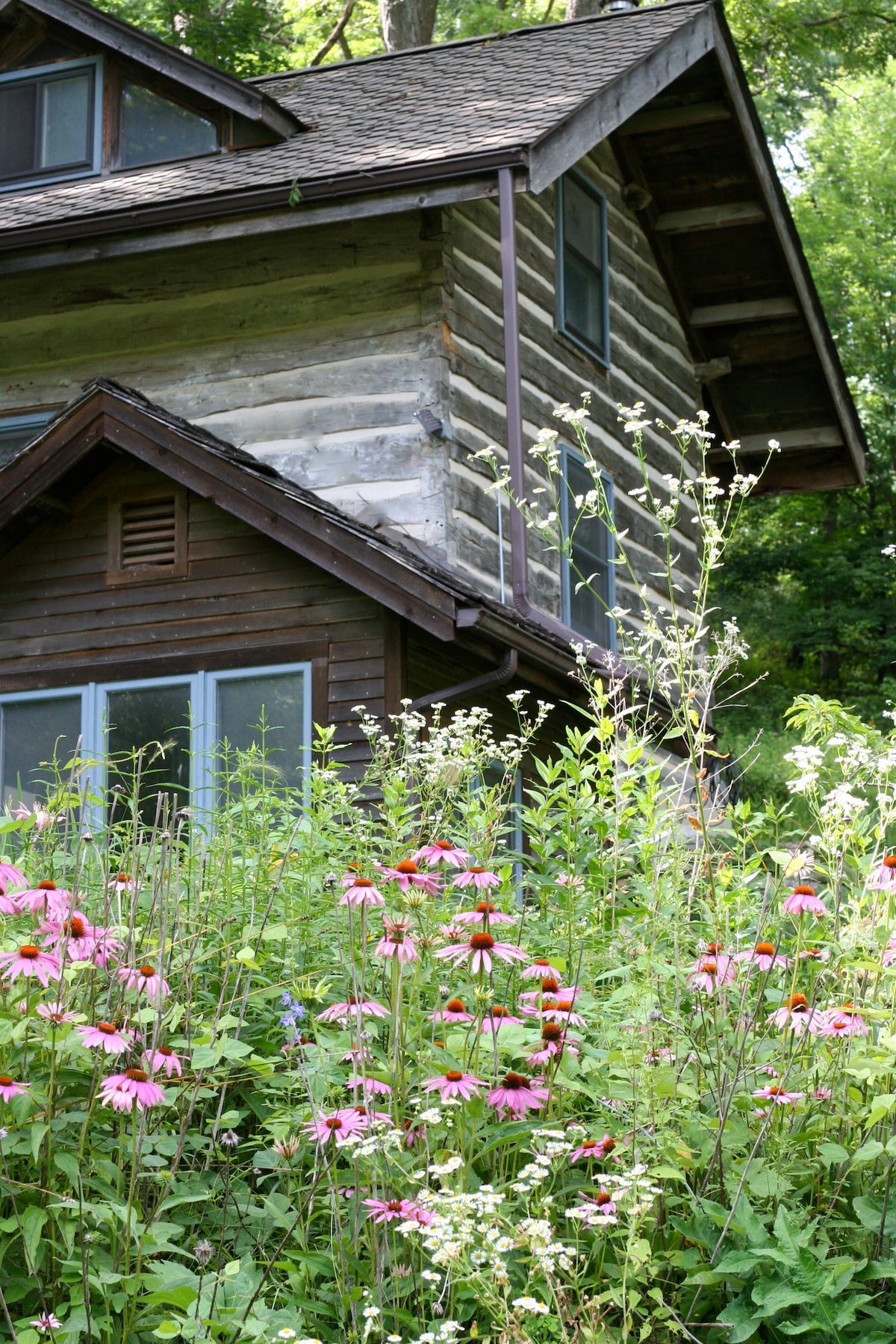 Fern Hollow Cabin in Lush NE Iowa