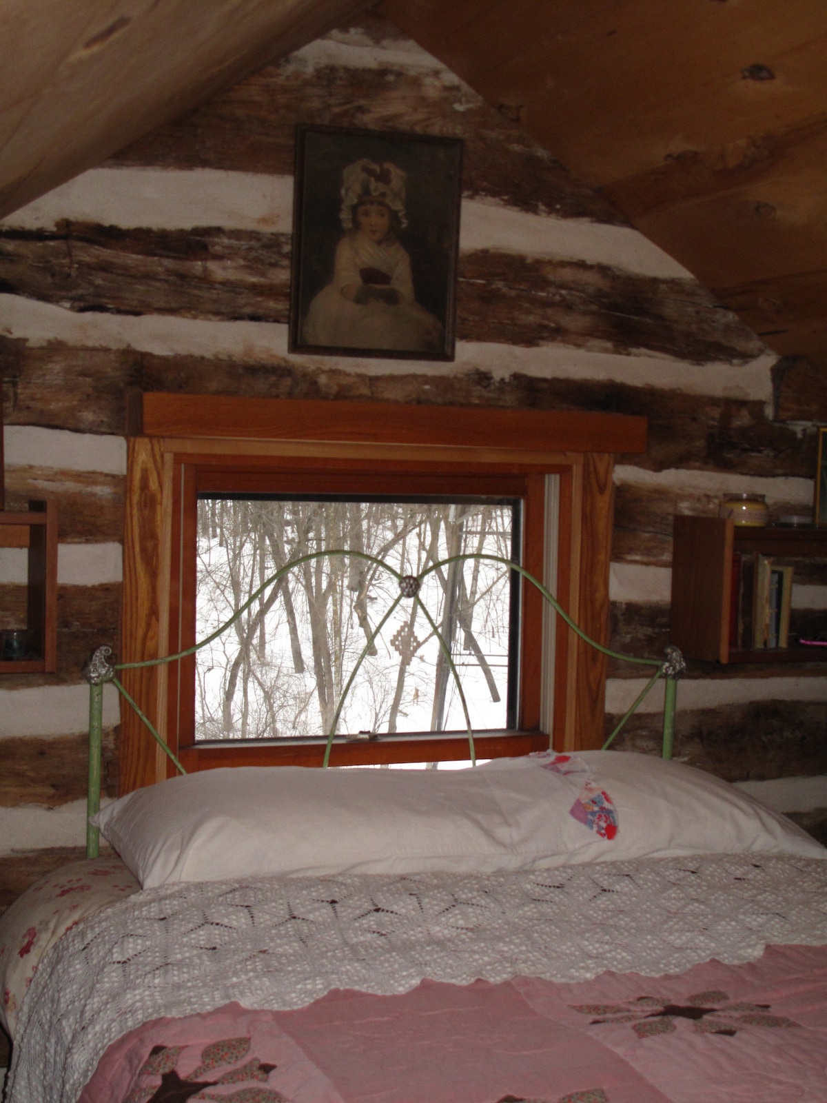 Fern Hollow Cabin in Lush NE Iowa