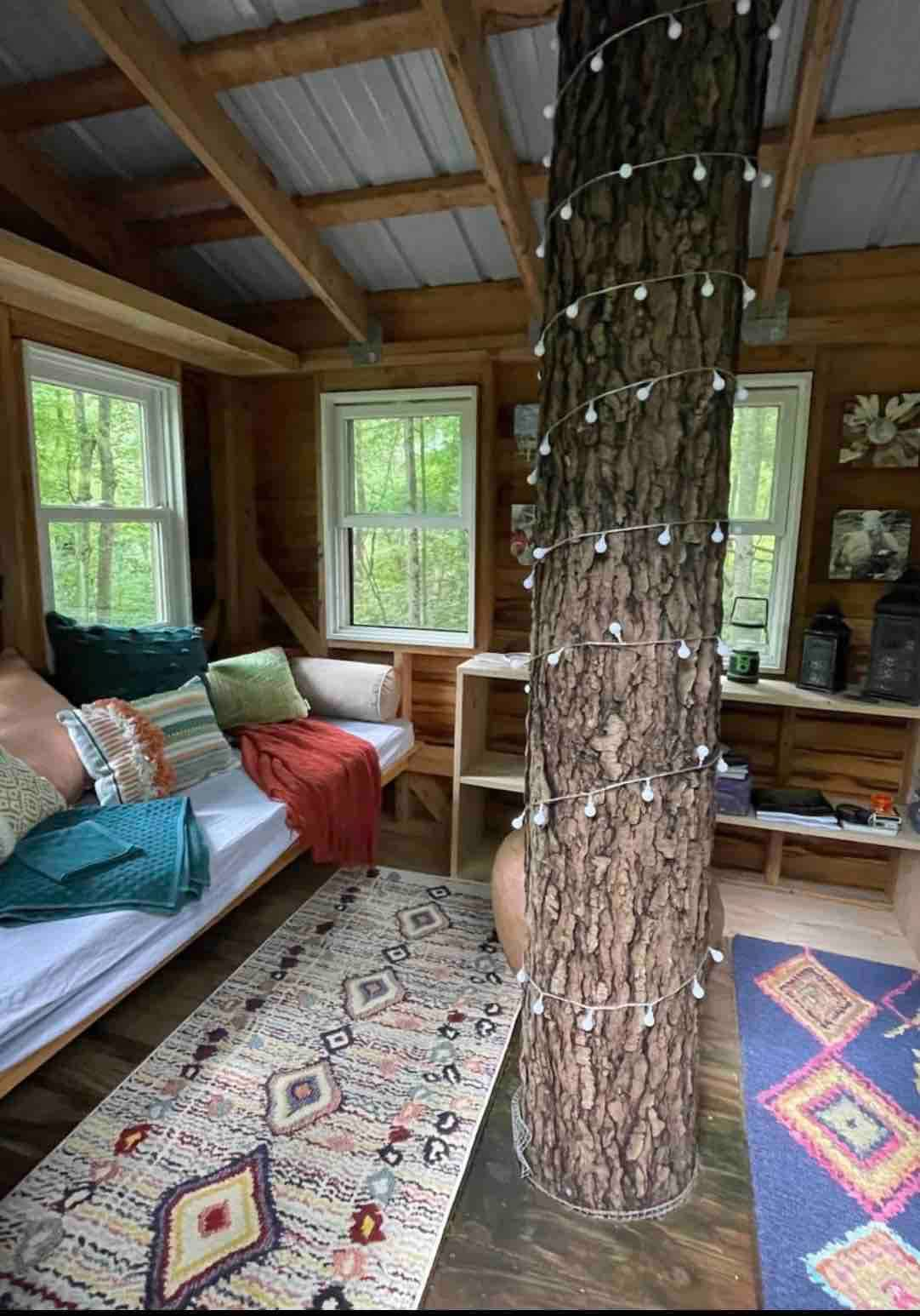 Treehouse adventure on regenerative farm