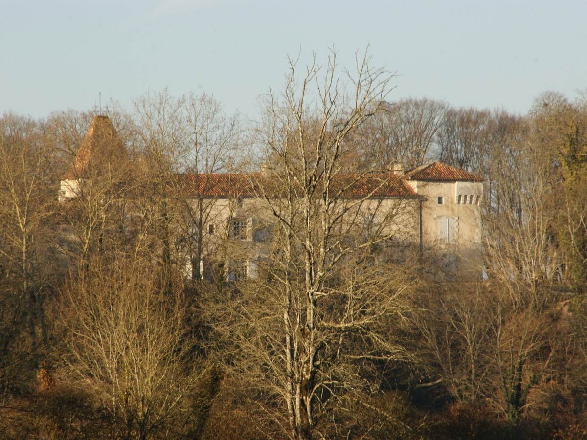 康贝城堡（ Château de la Combe ） - Hergé家庭套房