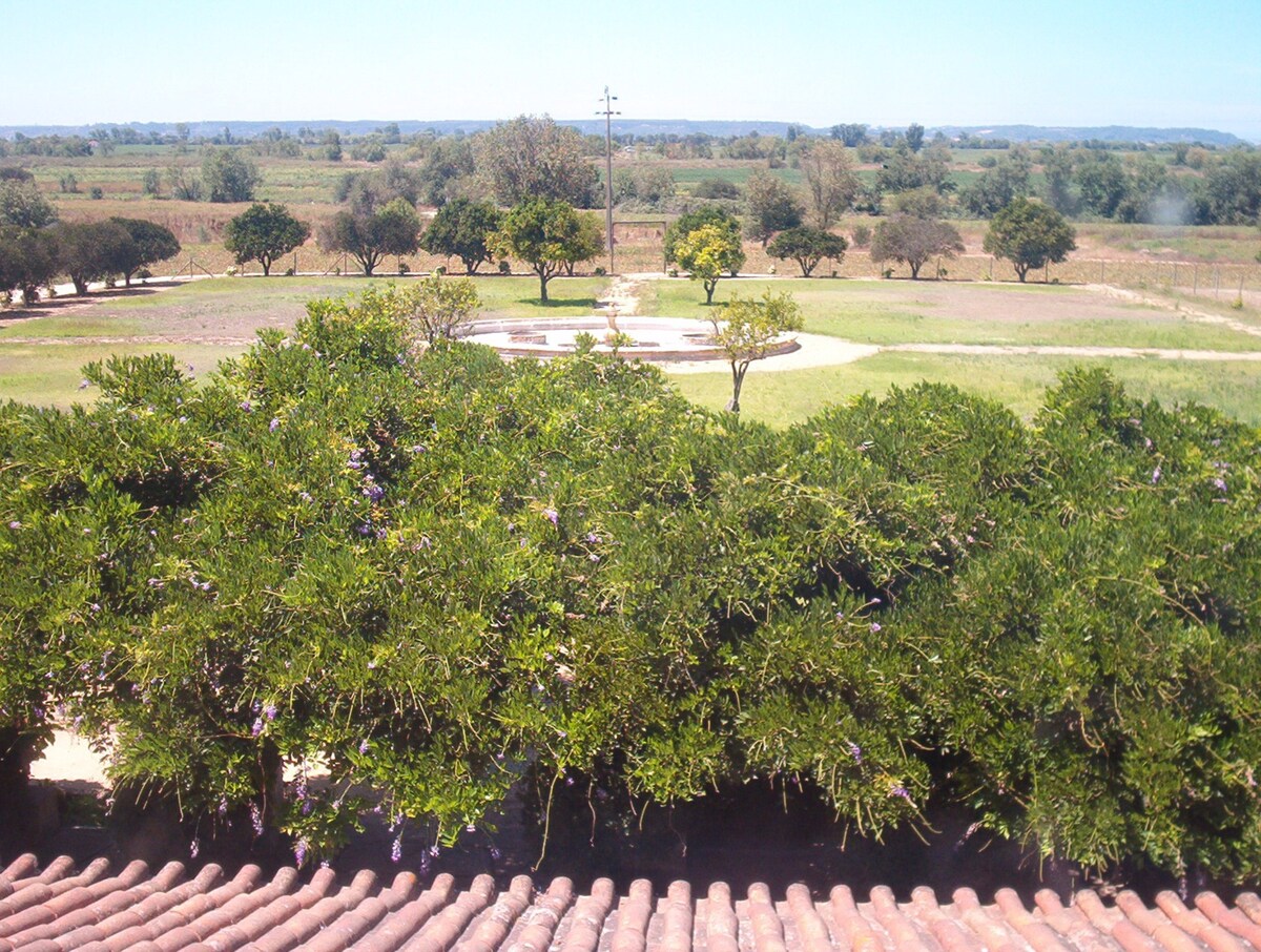 Quinta do Casalinho - Almeirim