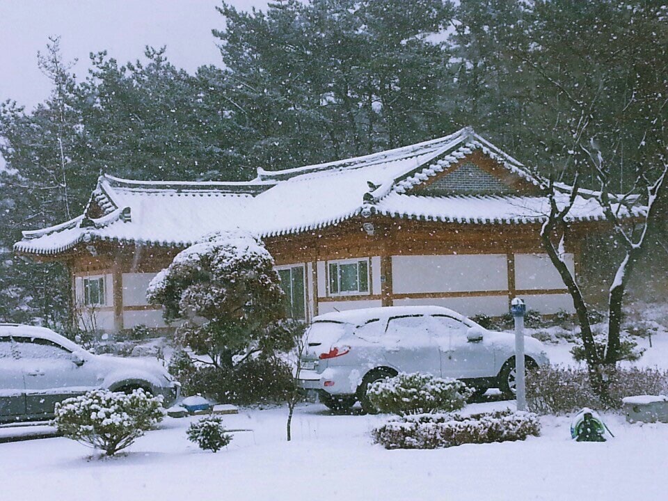 Daebu-do Hanbang Village