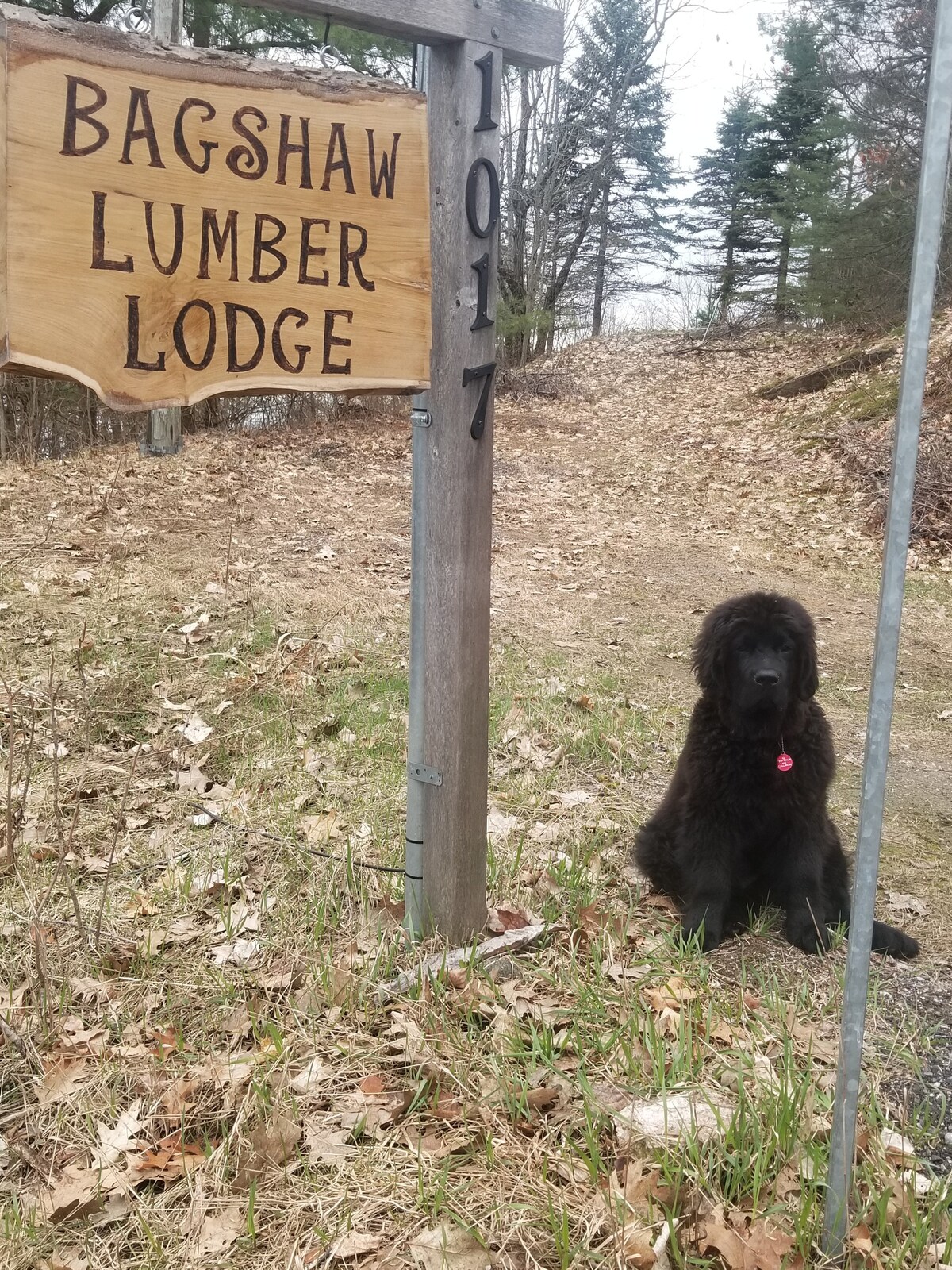Bagshaw Lumber Lodge