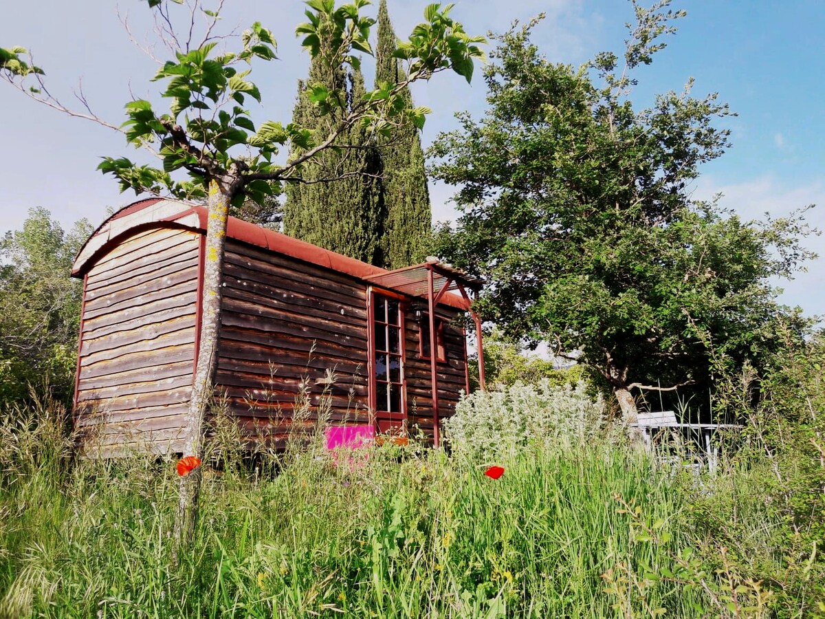 Oasis en Provence Stage ou Famille, Amis ..Ventoux