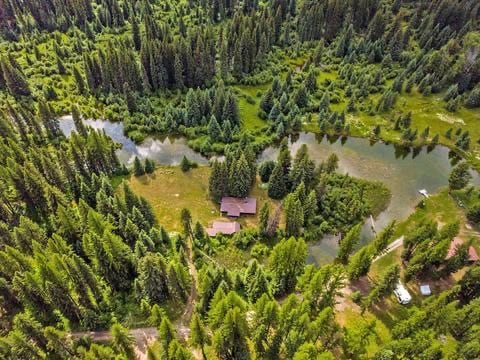 Rustic 1950's Cozy Creekside Log Cabin on 10 Acres