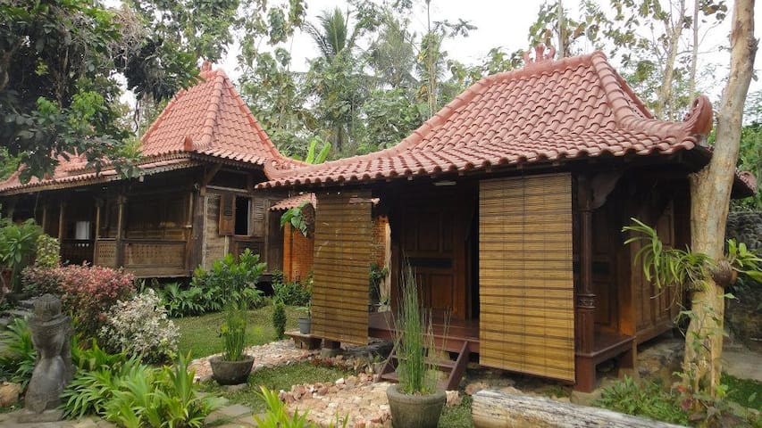 婆罗浮屠的民宿