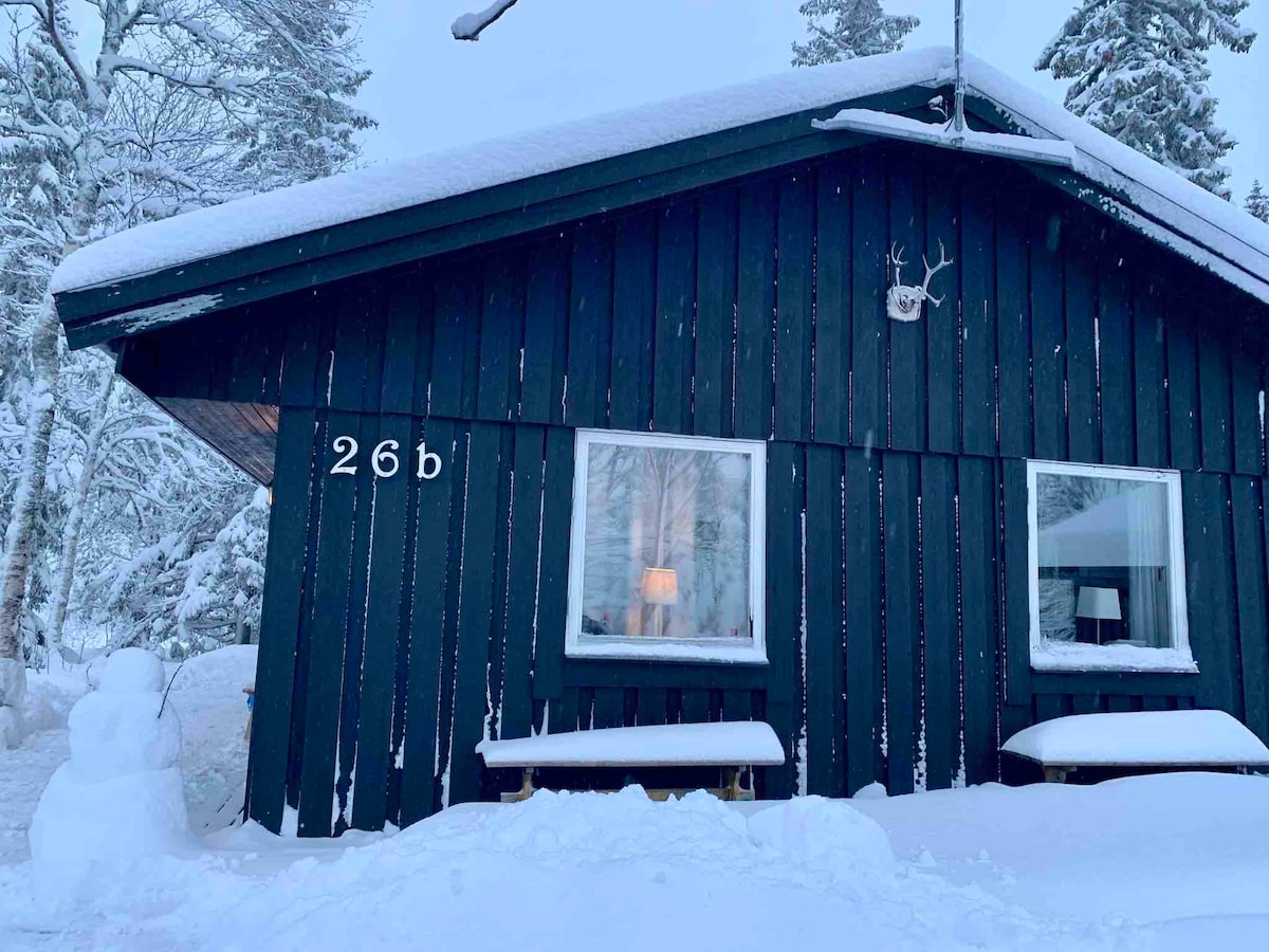 靠近滑雪度假村的舒适乡村小屋