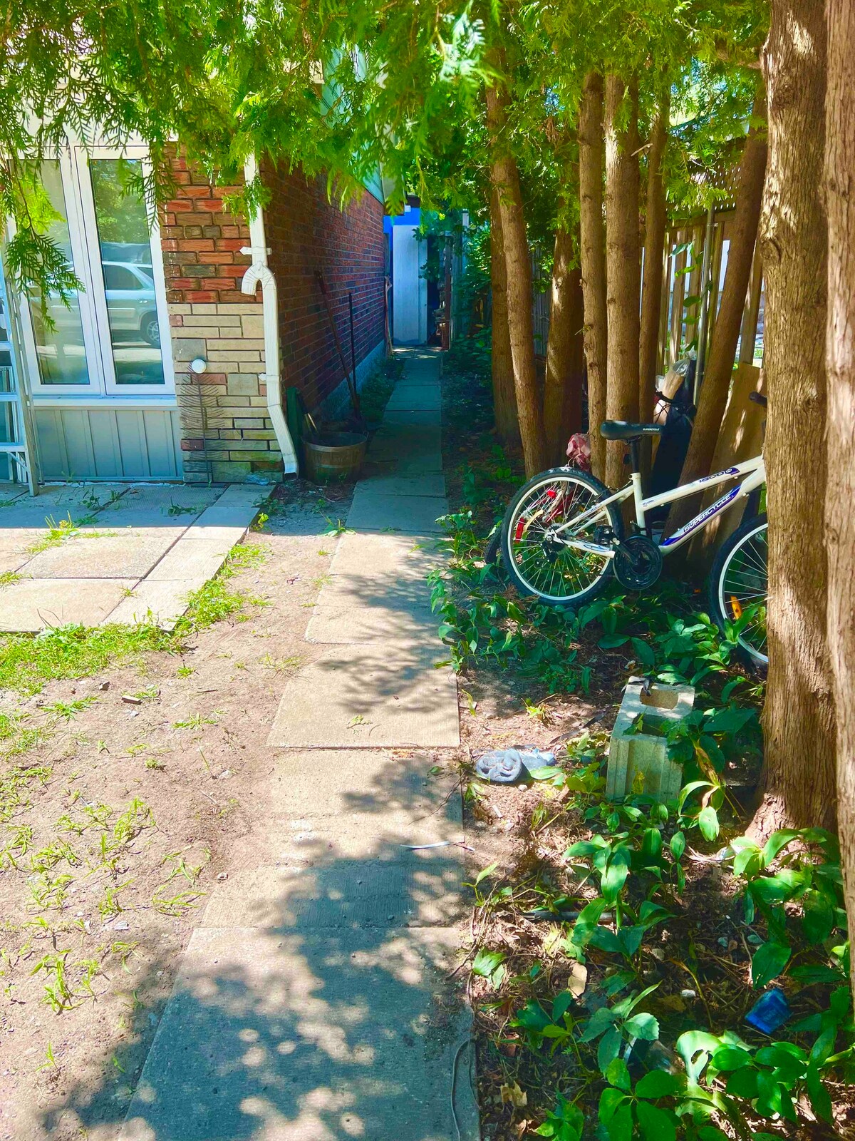 Tiny home in a backyard garden