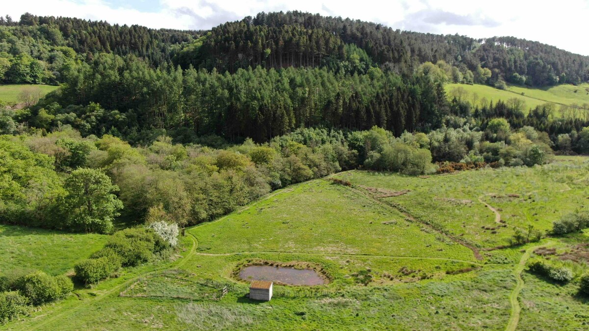 2 Bedroom Cottage in 33 Acres of a Rewilded Farm