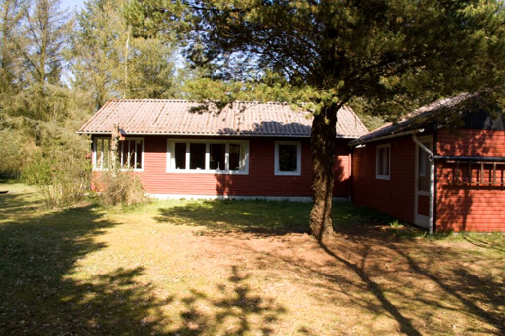 summer cabin close to the westcoast