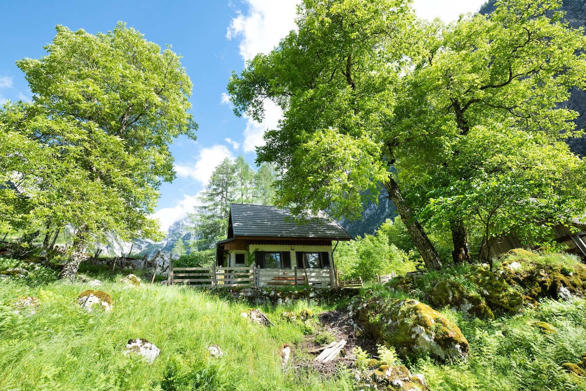 私人高山住宅，可欣赏山景