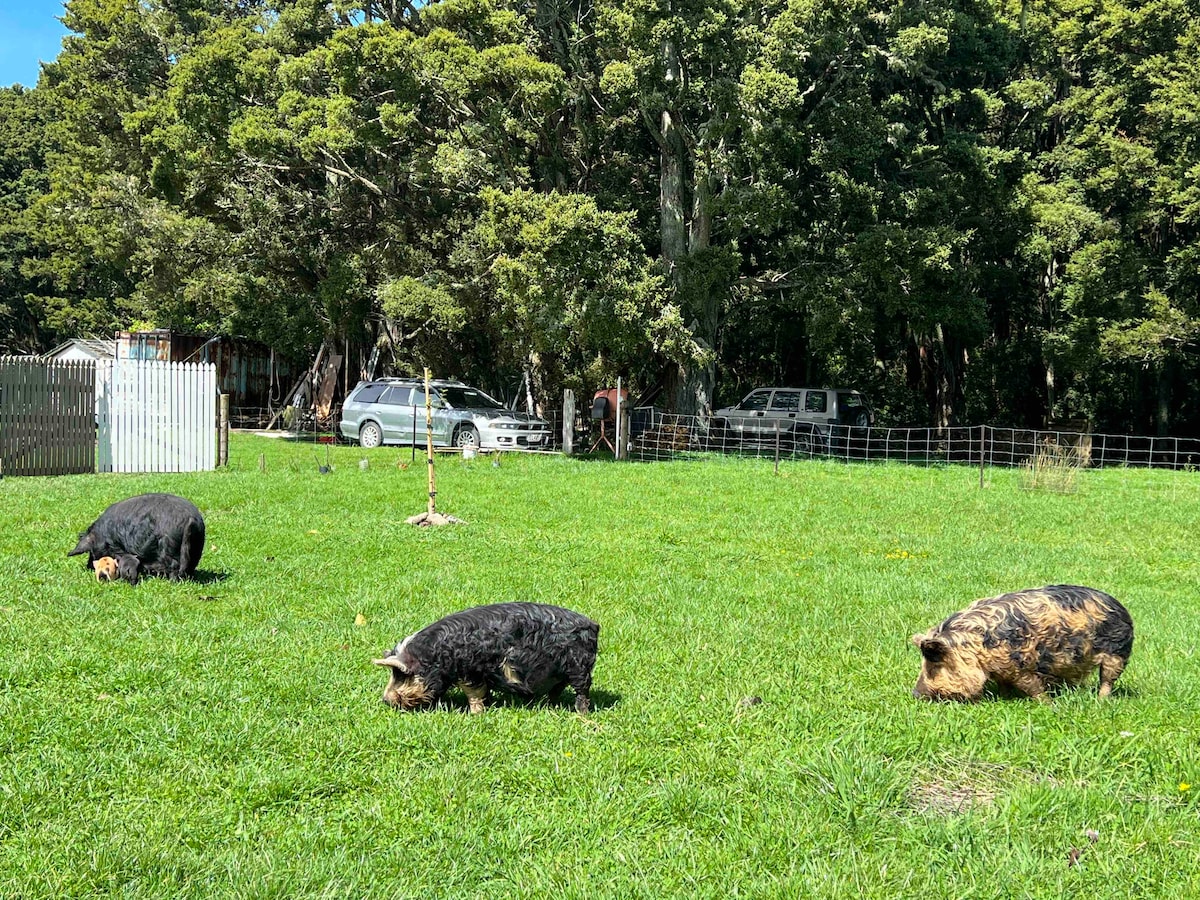 Country stay in Hukerenui 400 meters off SH1