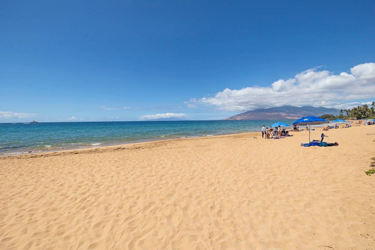 Luxury 2bd2bth Kihei Maui Condo Across from Beach