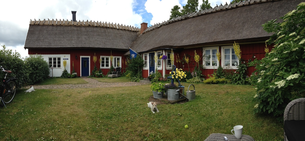 Hallandslänga 900 m från havet