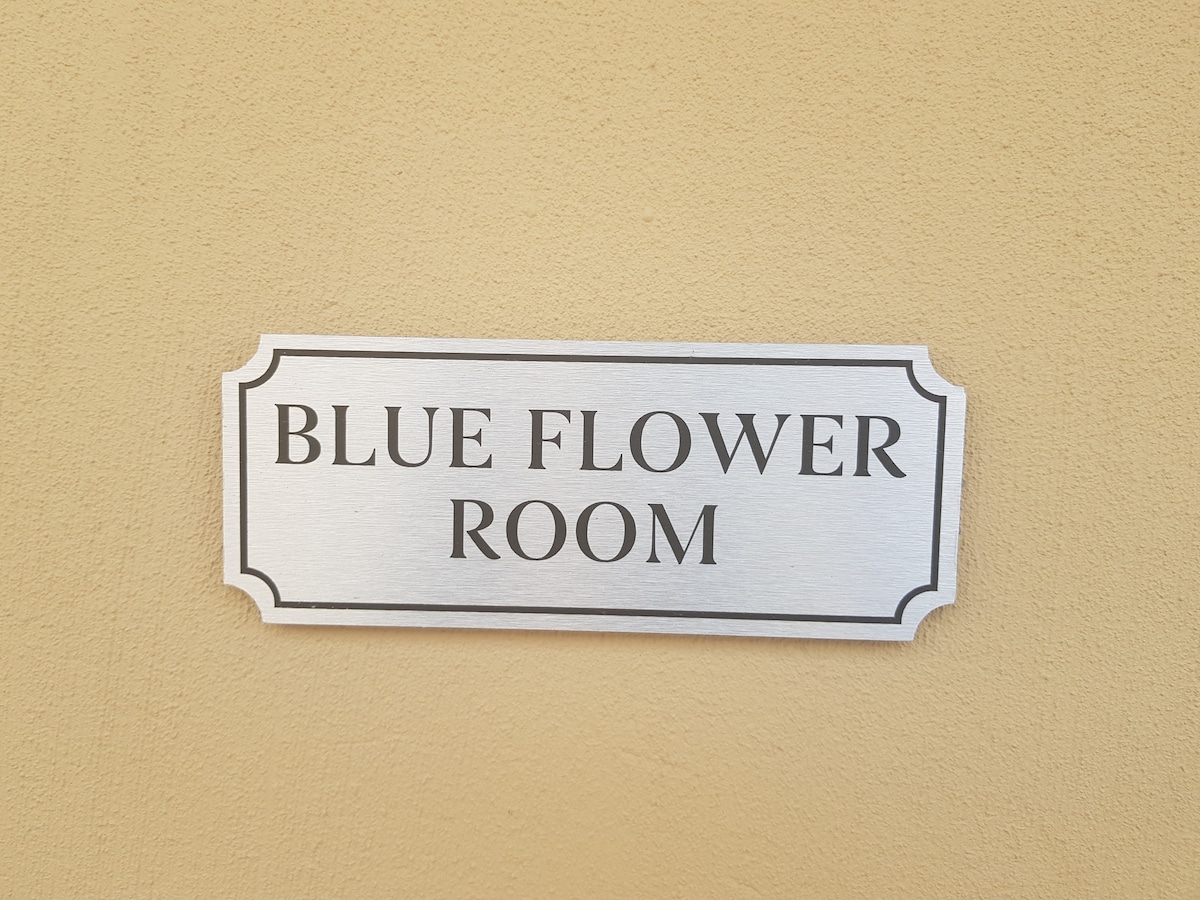5 Folkestone、Summerstrand、Blue Flower Room。