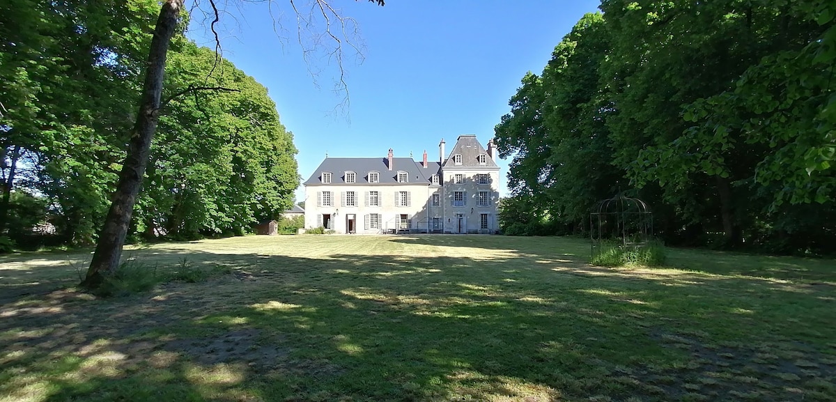 Loiret Chevilly Château, 12 chbres et grange 160平方米