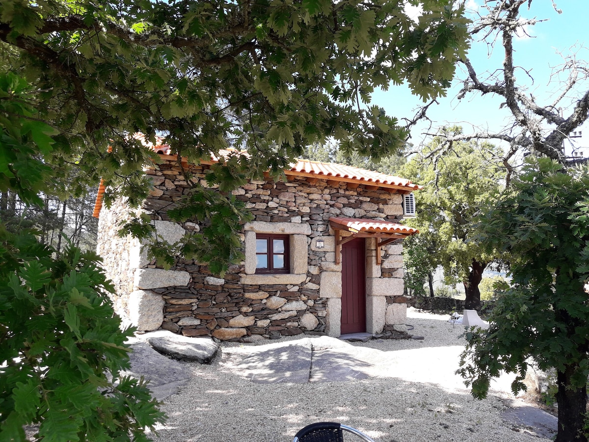 Casa do Feitor - Douro - (Quinta da Cabrida)