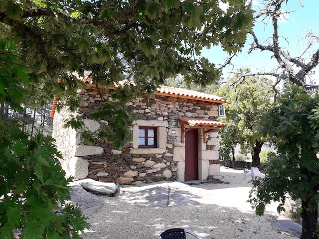 Quinta da Cabrida的民宿
