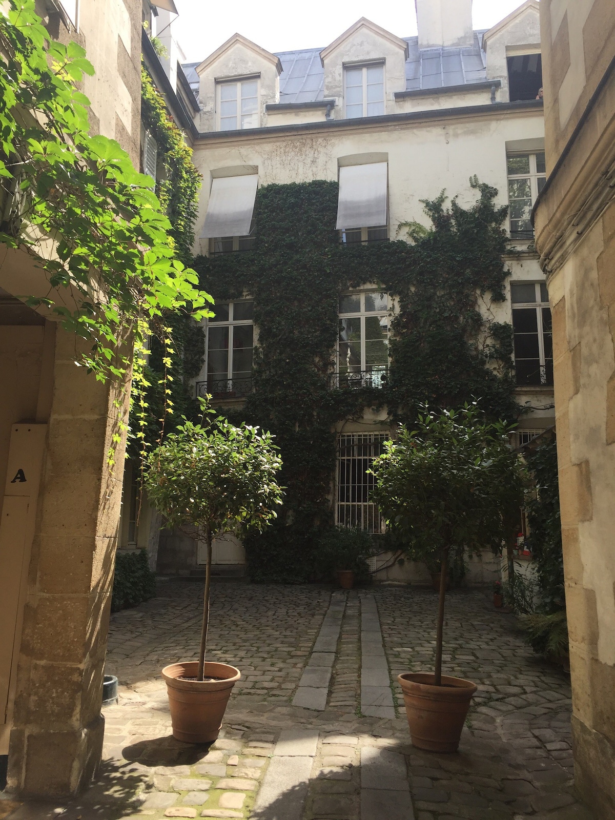 位于市中心的漂亮巴黎公寓