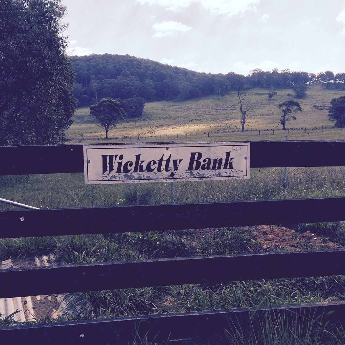 Wicketty Bank小屋