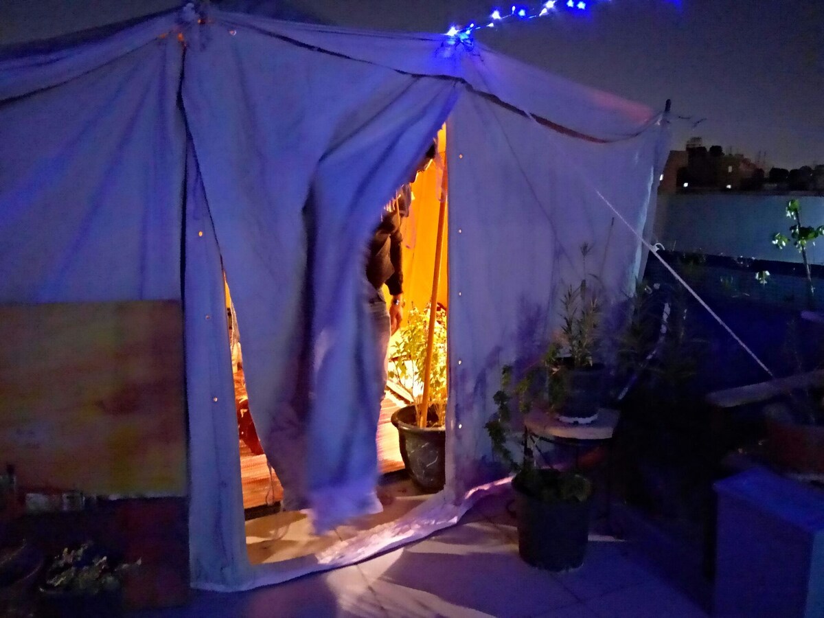 Aladdin的共用帐篷1