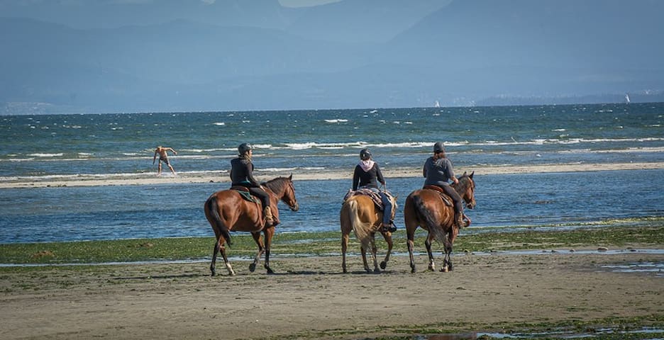 科莫克斯(Comox)的民宿